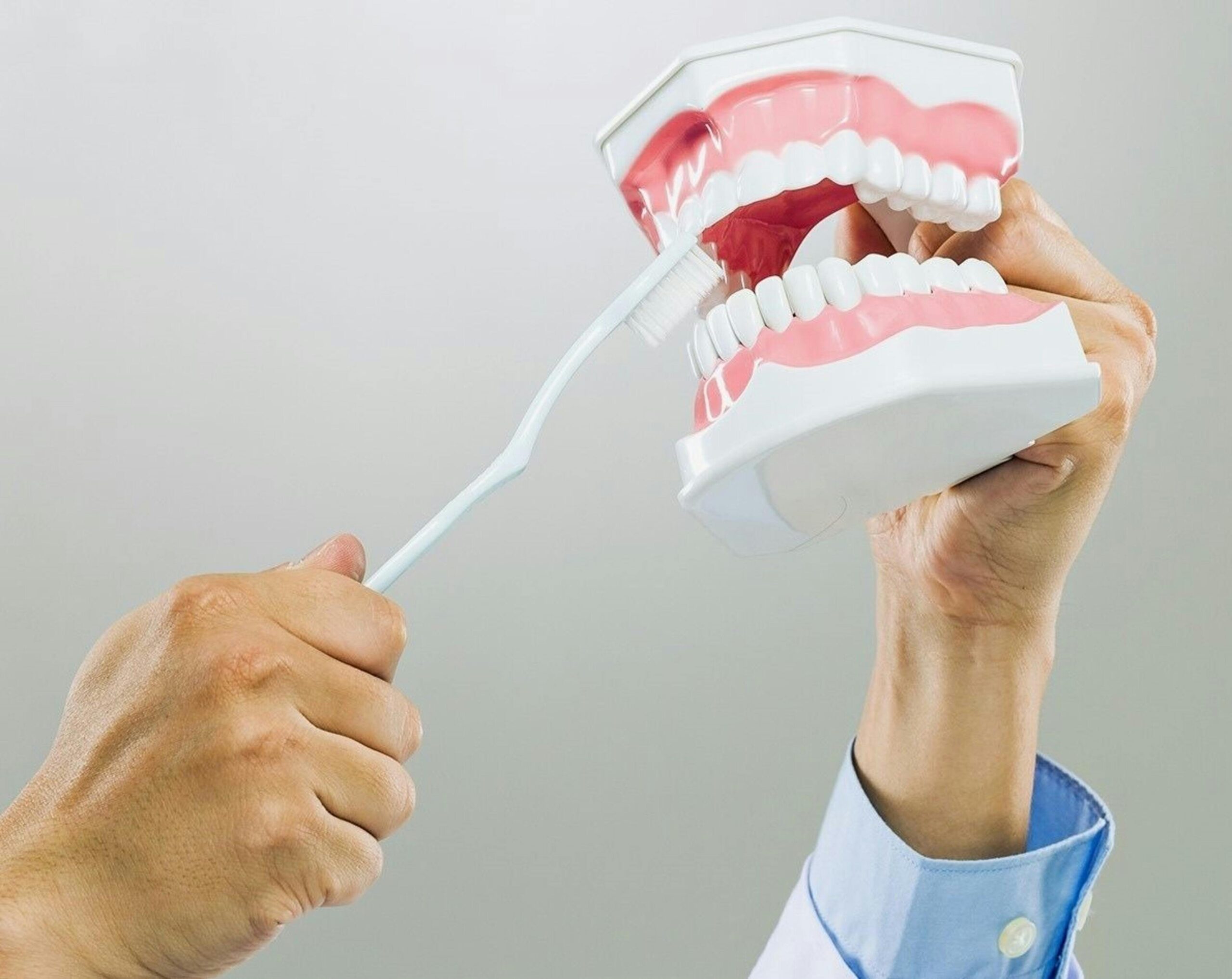 2 Close-up of hands demonstrating brushing on dental model for dentistry education.